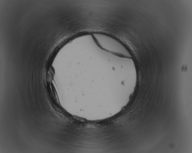 X0000095530684200801041246