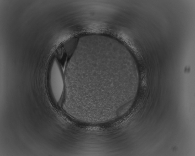 X0000095530685200801041246