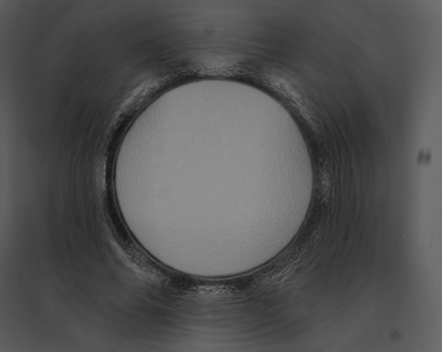 X0000095530686200801041246