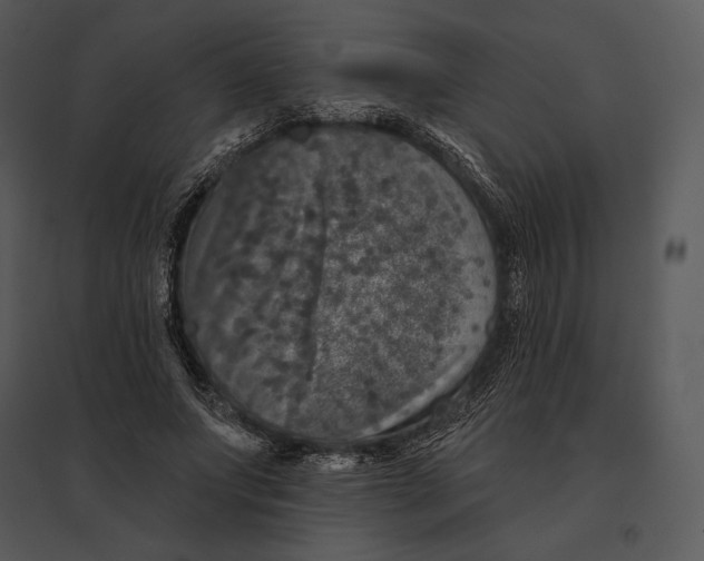 X0000095530687200801041246