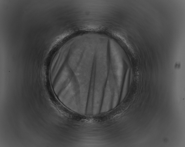 X0000095530688200801041246