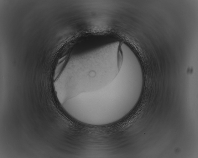 X0000095530689200801041246