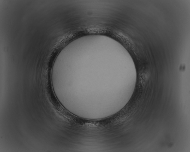 X0000095530690200801041246