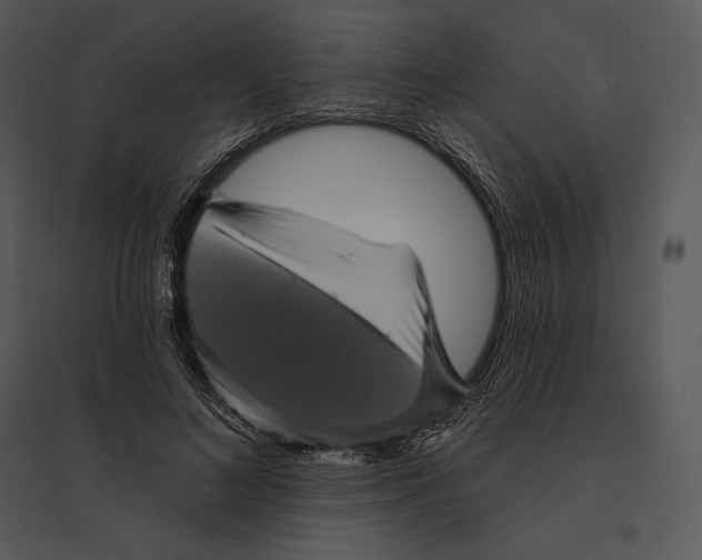 X0000095530692200801041246