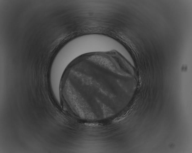 X0000095530693200801041246