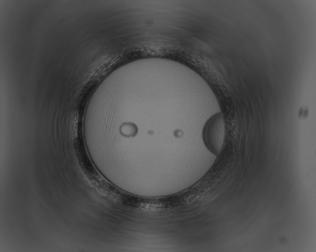 X0000095530694200801041246