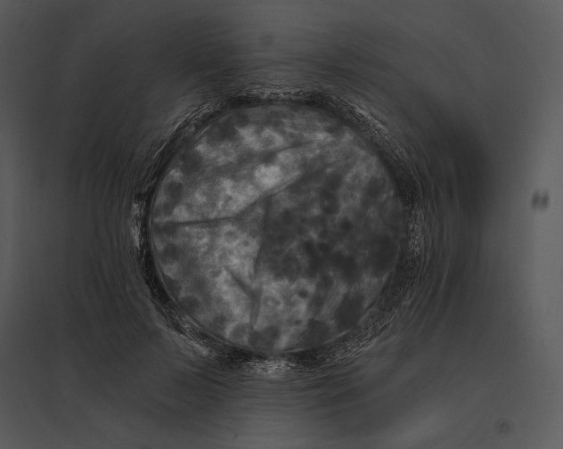 X0000095530695200801041246