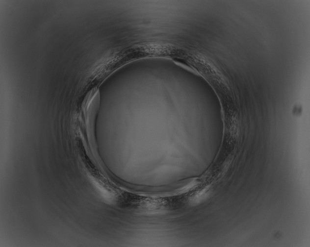 X0000095530696200801041246