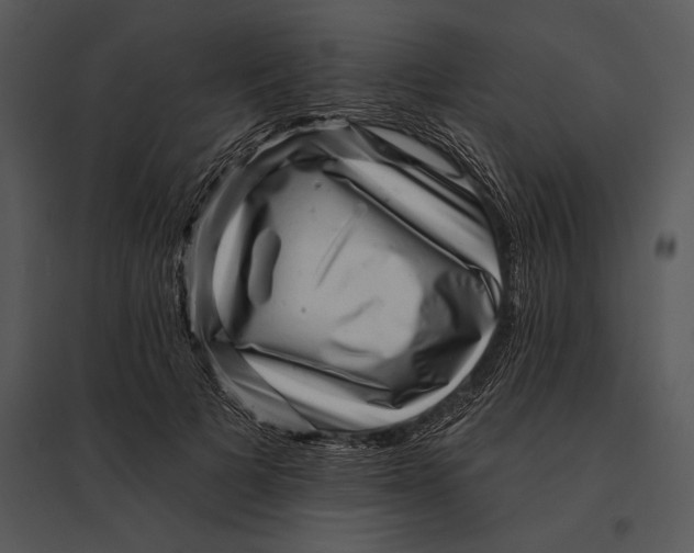 X0000095530697200801041246