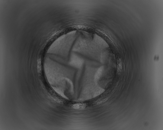 X0000095530700200801041246