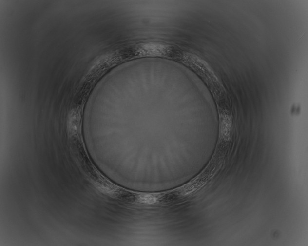 X0000095530701200801041246