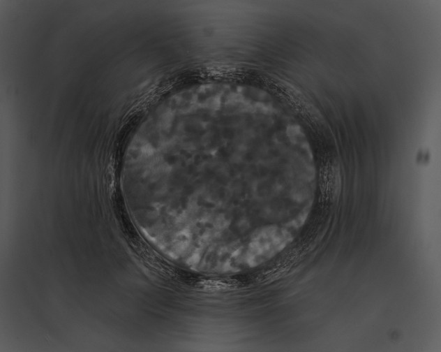 X0000095530703200801041246