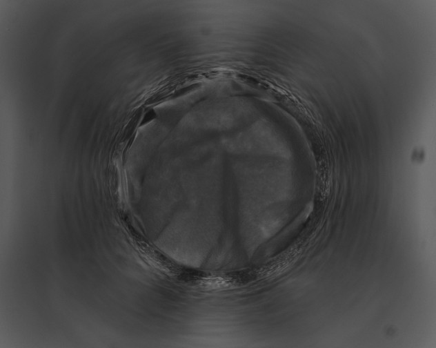 X0000095530704200801041246