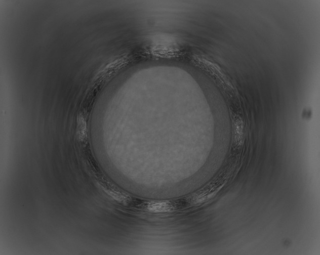 X0000095530705200801041246