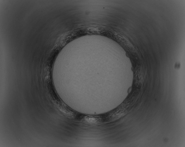 X0000095530706200801041246