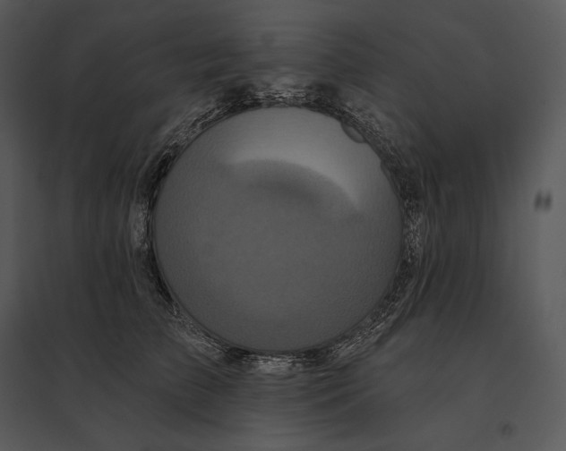 X0000095530709200801041246