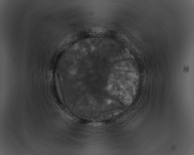 X0000095530711200801041246