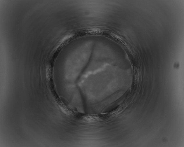 X0000095530712200801041246