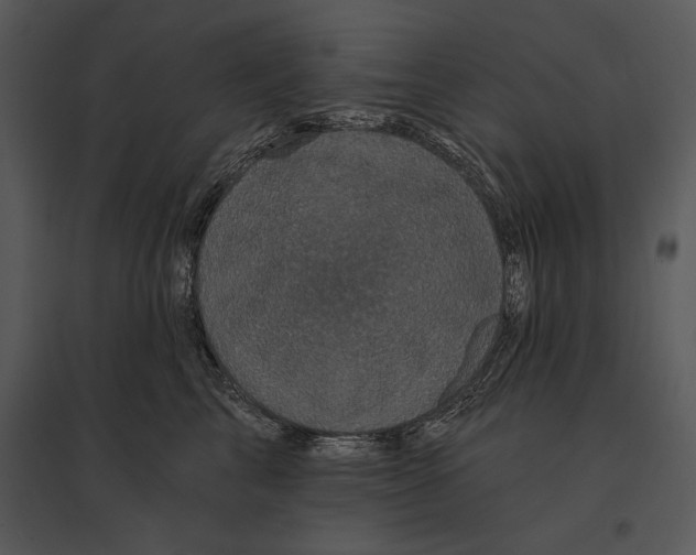 X0000095530713200801041246