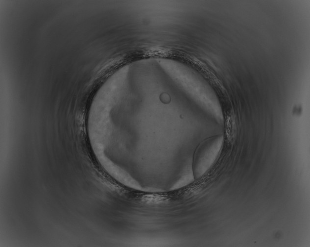 X0000095530714200801041246