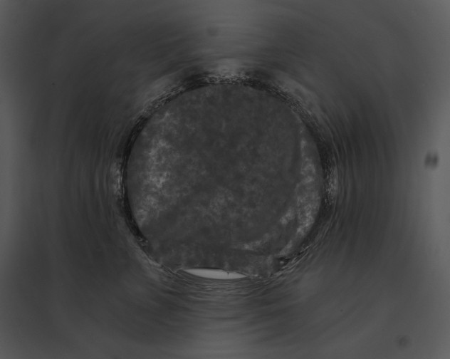 X0000095530715200801041246