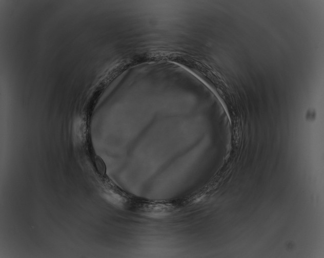 X0000095530716200801041246