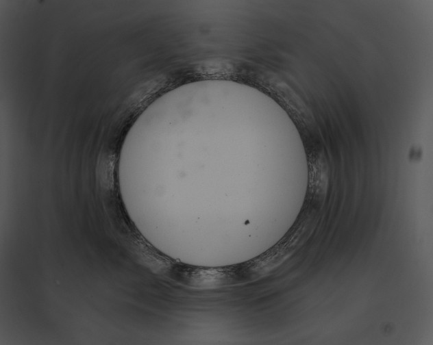 X0000095530717200801041246