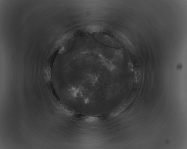 X0000095530718200801041246