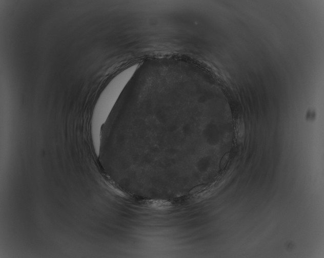 X0000095530719200801041246