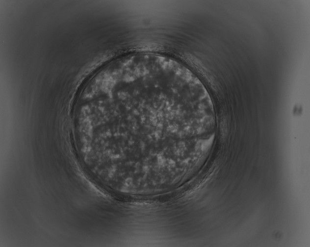 X0000095530721200801041245