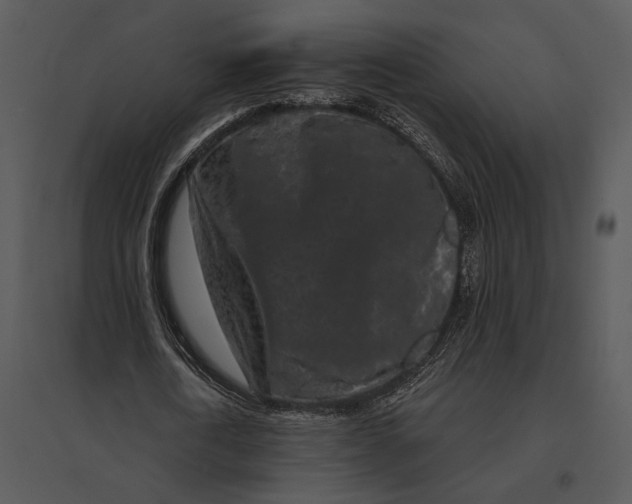 X0000095530722200801041245