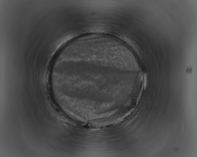 X0000095530723200801041245