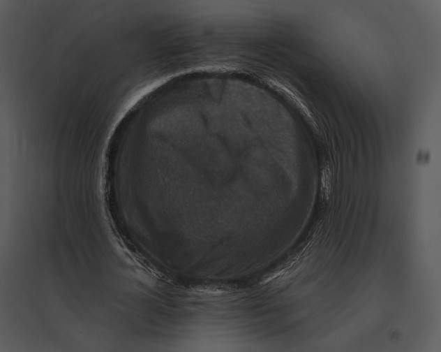 X0000095530724200801041245