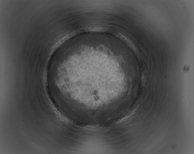 X0000095530725200801041245