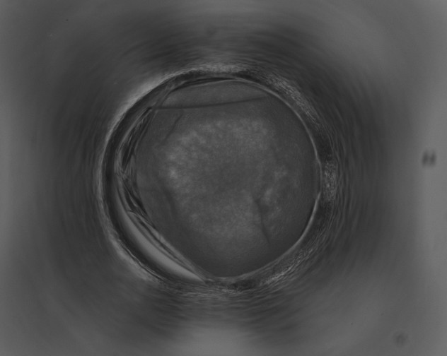 X0000095530726200801041245