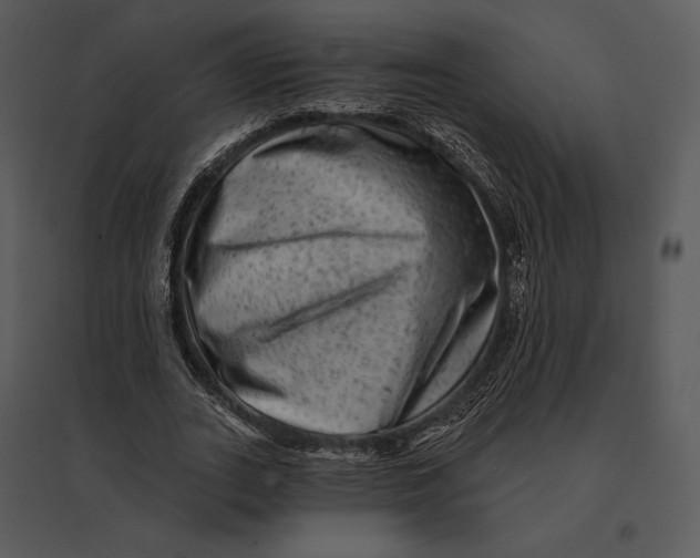 X0000095530727200801041245