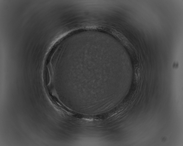 X0000095530728200801041245