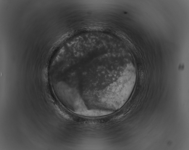 X0000095530729200801041245