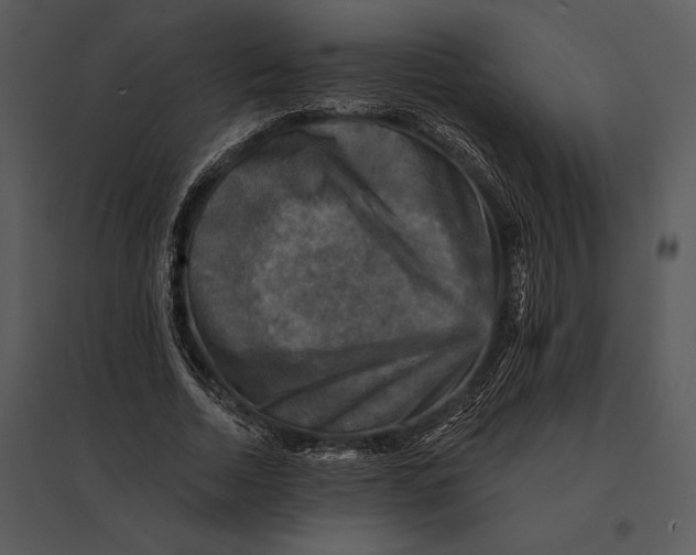 X0000095530730200801041245