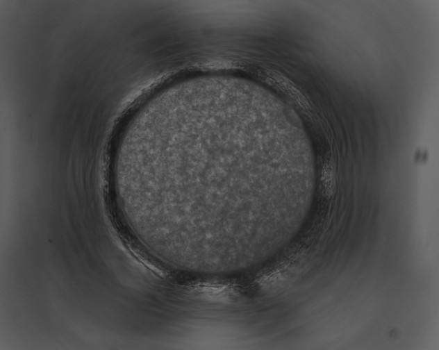 X0000095530732200801041245