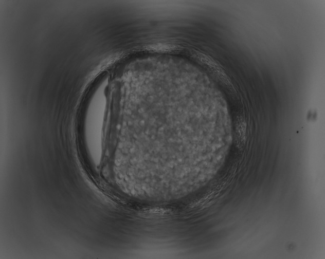 X0000095530734200801041245