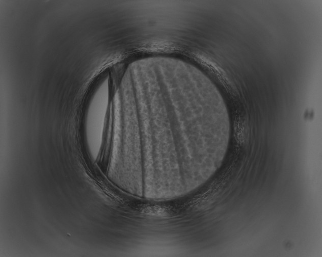 X0000095530735200801041245