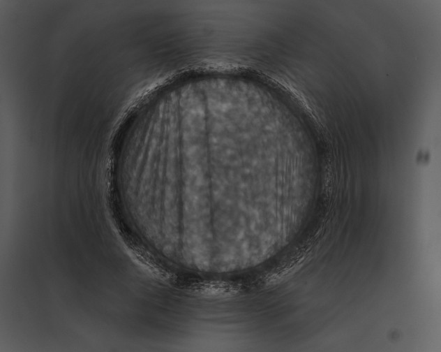 X0000095530736200801041245