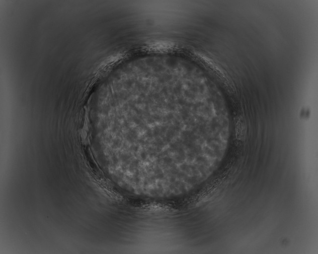 X0000095530737200801041245