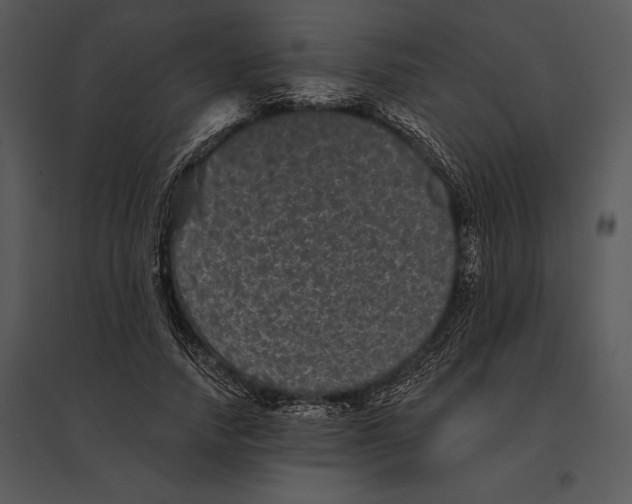 X0000095530738200801041245