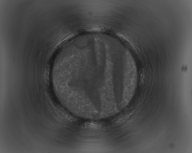 X0000095530739200801041245