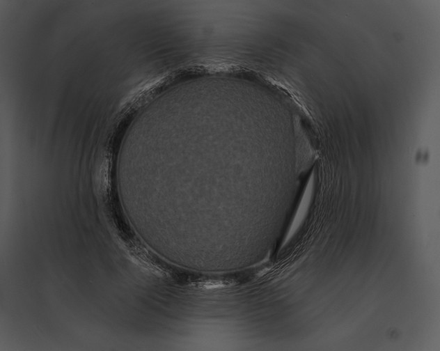 X0000095530740200801041245