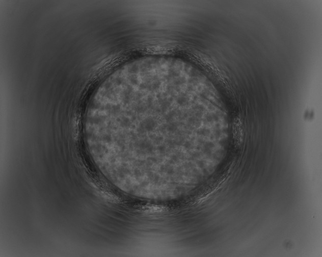 X0000095530741200801041245