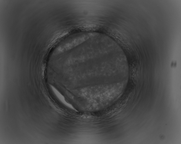 X0000095530742200801041245