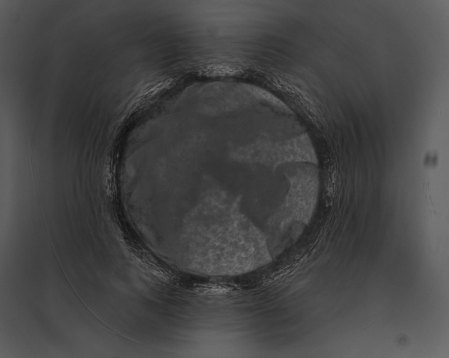 X0000095530743200801041245